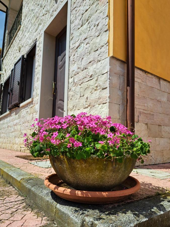 הוילה Busso La Casa Di Mezzo-Affitti Brevi-Zona Ospedali מראה חיצוני תמונה